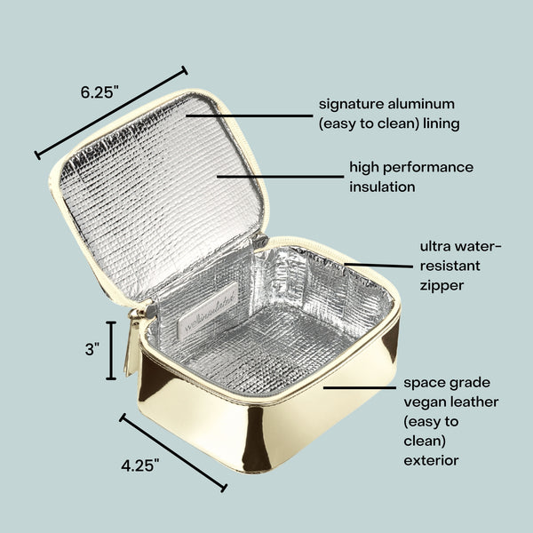 WELLinsulated Performance Mini Travel Case | Metallic Gold