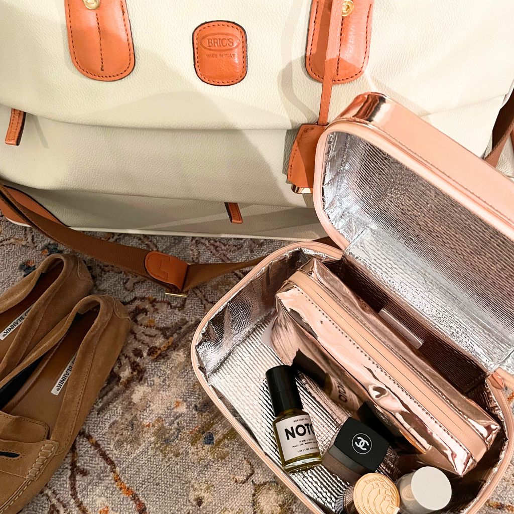 buy makeup organizer bag for travel WELLinsulated Performance Beauty Case