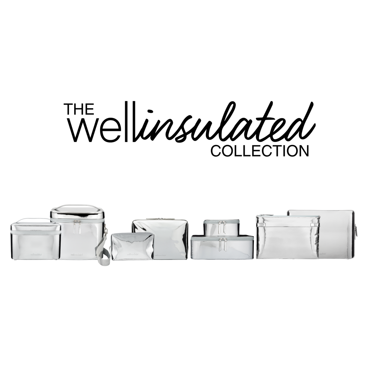 Performance Beauty Case SILVER