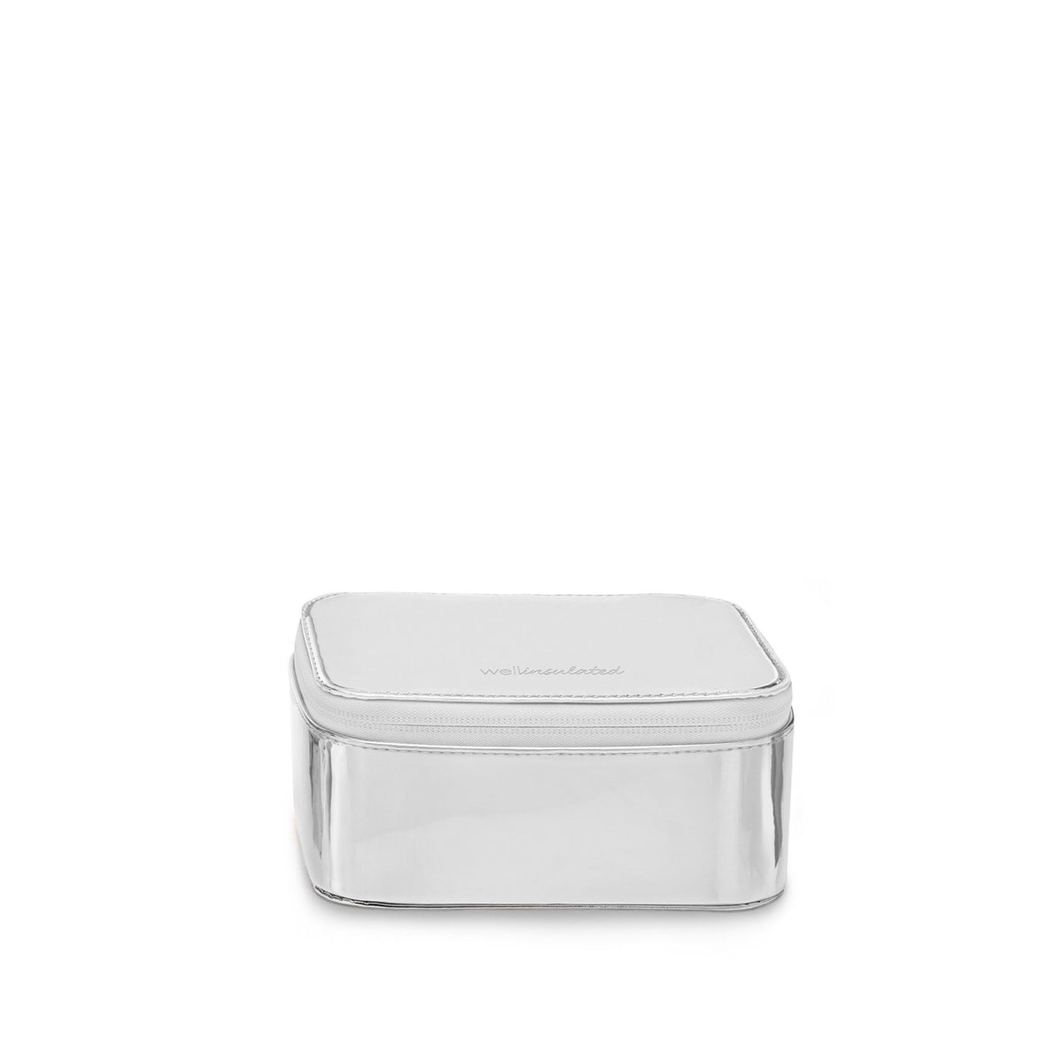 Performance Mini Travel Case SILVER